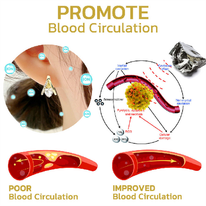 (🎅Limited Time Discount 80% Last Day 🎁Christmas 🎄)Histone™ Lymphvity MagneTherapy Germanium Earrings